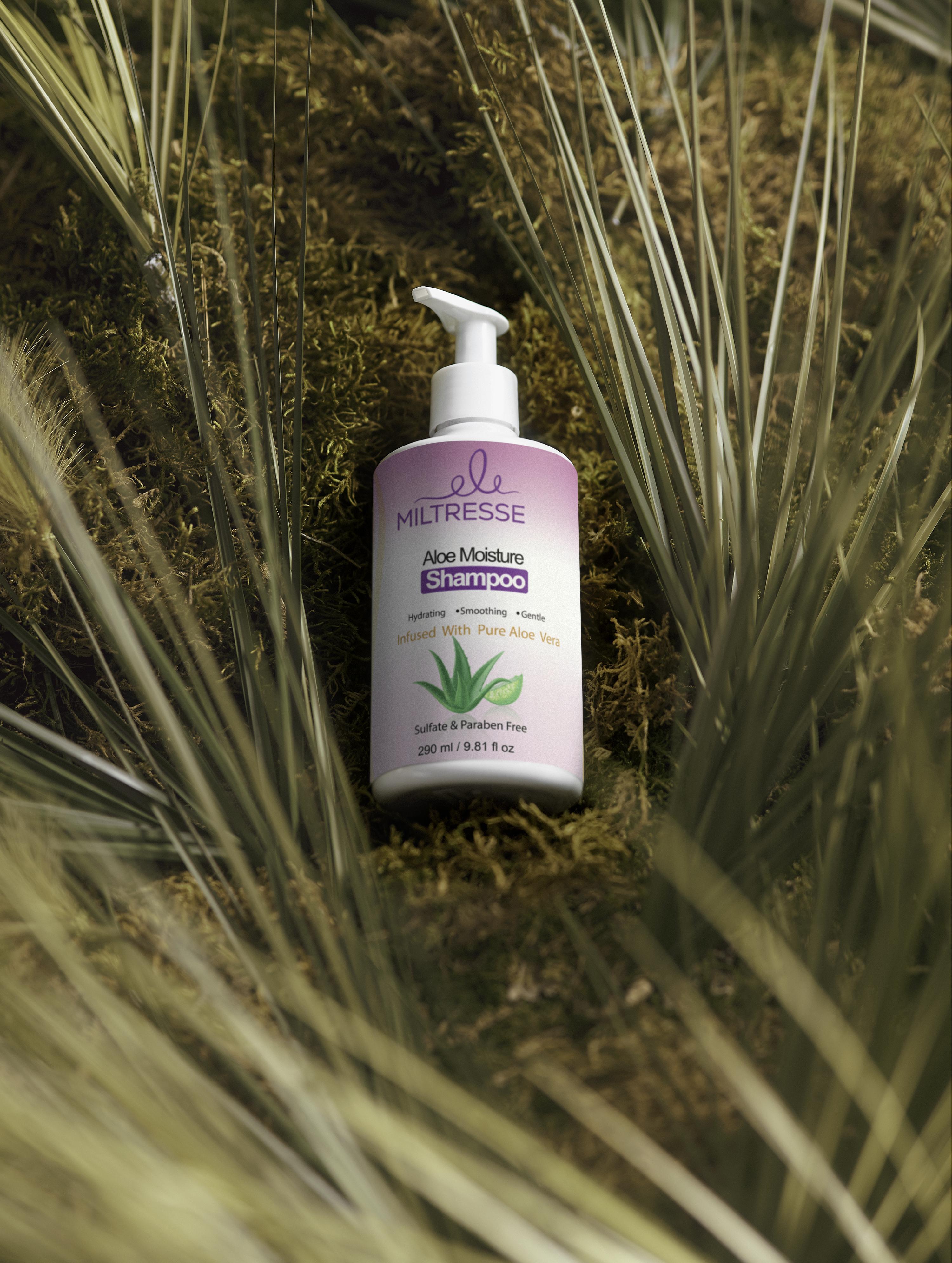 Aloe Moisture Shampoo